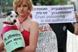 Extermínio de cães vadios na Ucrânia: 01 - "Não matem os meus amigos!"