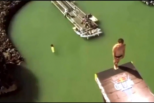 Vídeo: mergulhador bate com a cabeça